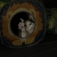 Silvercharm21